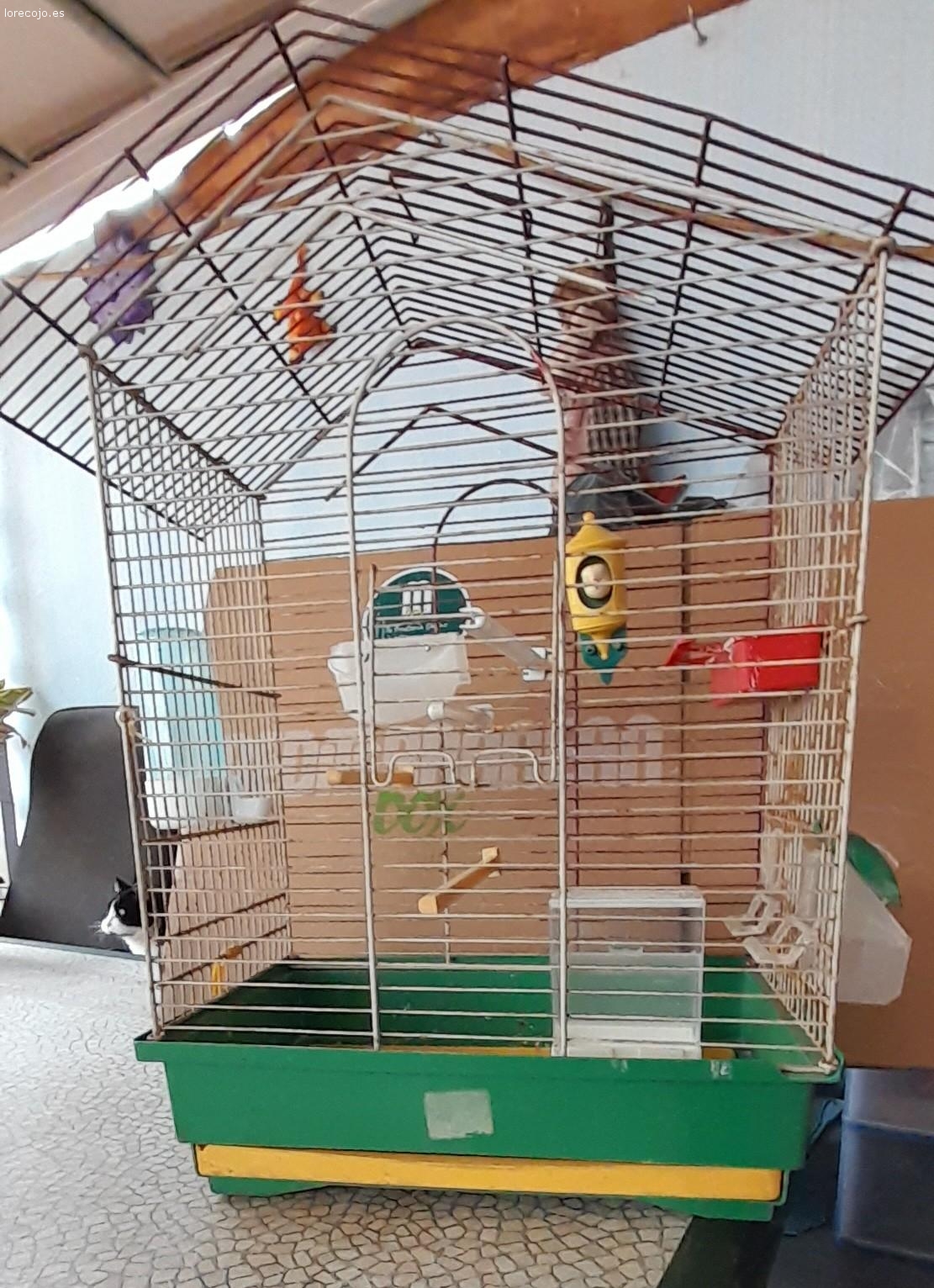 jaula pajaro. jaula pajaro grande