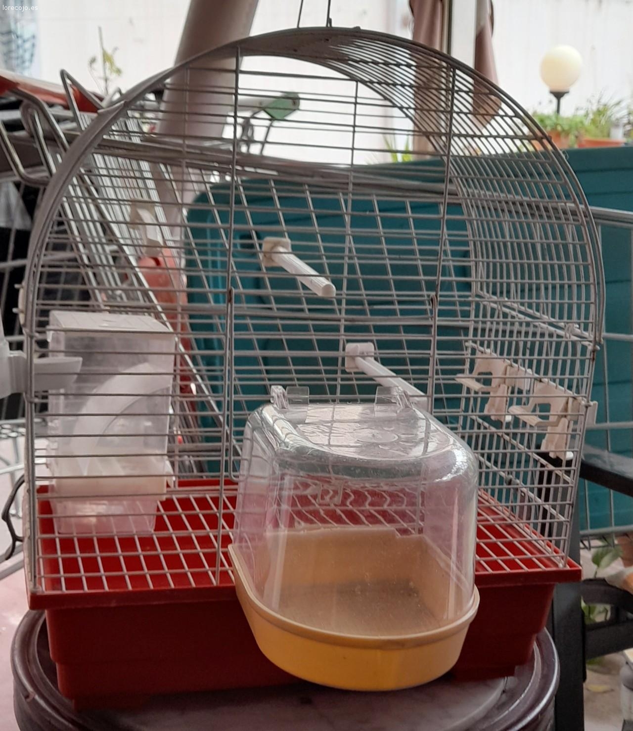 jaula pajaro. jaula  grande