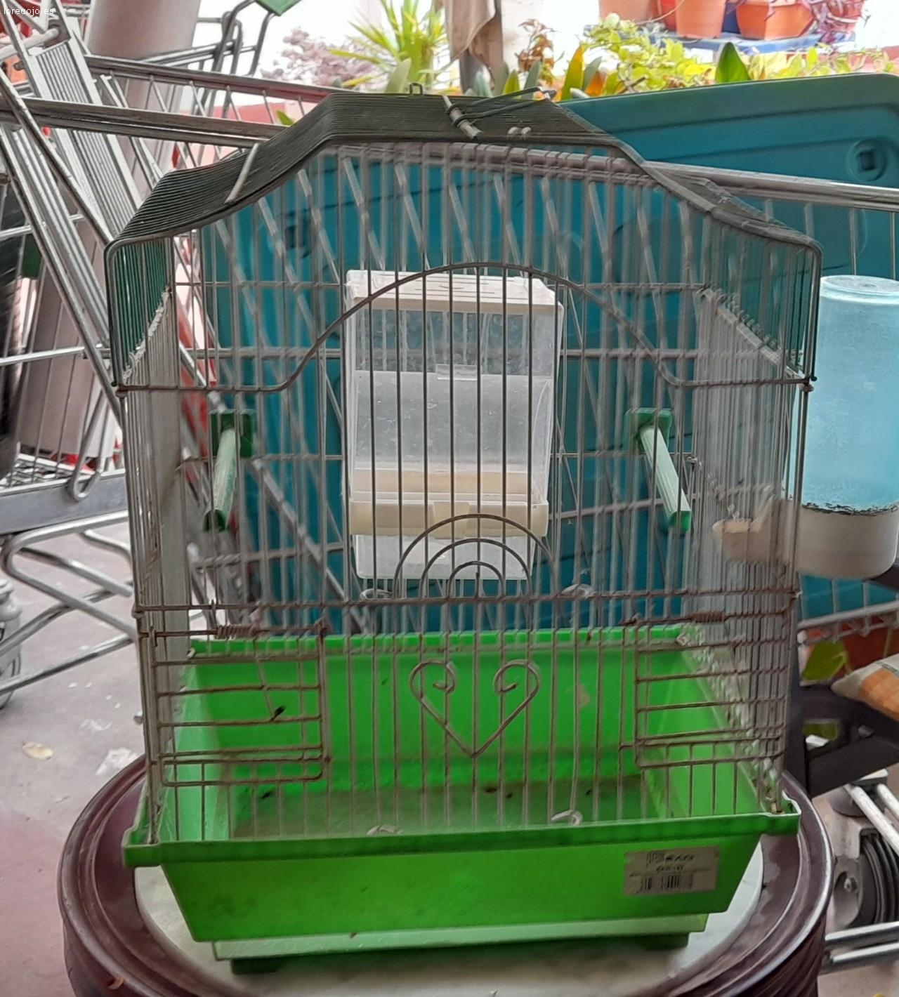 jaula pajaro. jaula pajaro mediana